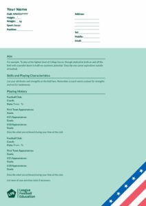 USA University CV Template